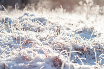 snow texture. cute winter background. shiny snow early in the morning. covered with frost