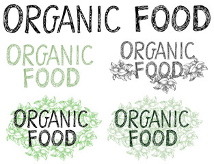 Hand drawn lettering organic food for label, banner, card. Illustration on the white background. 