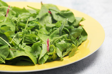 A plate with green salad