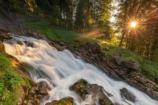 mountain river in the forest