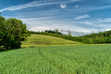 Landscape along the long-distance hiking trail Neckarsteig in Germany