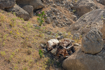 An old rusted crashed car lays lonely for decades in a deep gorge in the mountains of Spain near Albacete. The road is 50 meters above.