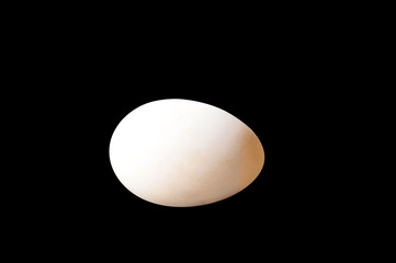 An egg isolated on black background