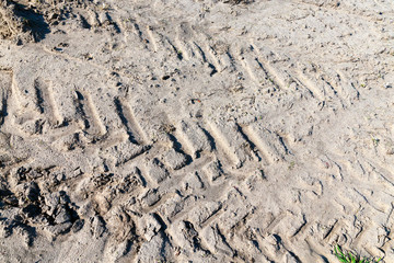 traces of the truck - the traces of heavy trucks on the ground agricultural fields. Photo closeup