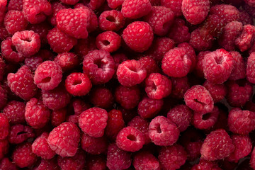 Delicious fresh and sweet red raspberries as food background. Healthy food organic nutrition. Rubus idaeus  natural antioxidant and vitamin fruit agriculture