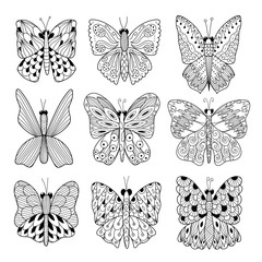 Fototapeta na wymiar Black and white butterflies collection