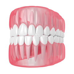 3d render of jaw with teeth over white