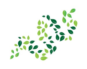 Logos of green leaf ecology nature element vector icon