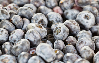 blueberry berries