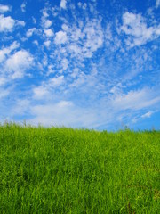 Fototapeta na wymiar 丘の上の青空