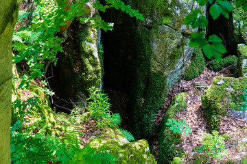 Nature reserve Felsenmeer, Hemer, Sauerland, North Rhine-Westphalia, Germany