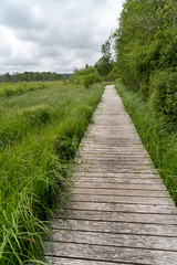 Pfrunger Ried bei Ostrach