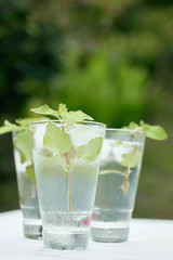 Summer hot fresh drink with mint in glass on white green grey background
