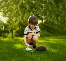 Child with pet. Boy feeding hedgehog and pours milk into a bowl. © Sk Elena