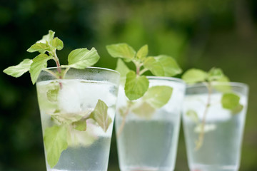 Summer hot fresh drink with mint in glass on white green grey background