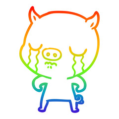 rainbow gradient line drawing cartoon pig crying