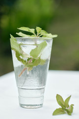 Summer hot fresh drink with mint in glass on white green grey background
