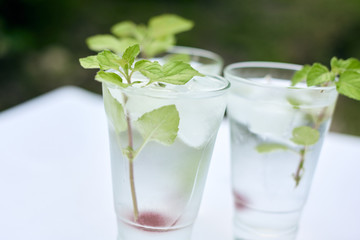 Summer hot fresh drink with mint in glass on white green grey background