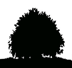 Big bush. Vector drawn icon