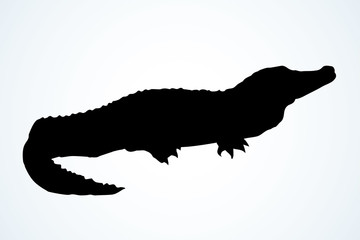 Crocodile. Vector drawing icon sign
