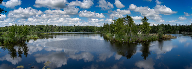 Pfrunger Ried bei Ostrach