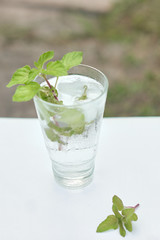 Summer hot fresh drink with mint in glass on white green grey background