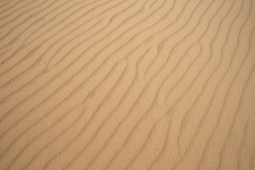 Fototapeta na wymiar texture or background of desert dune sand