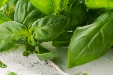 fresh basil leaves