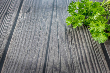 Fresh bunch parsley on wooden dark background. Flat lay composition. Layout with copy space for text.