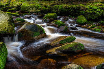 river Vydra in Sumava mountains czech republic.