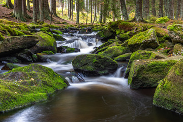 river Vydra in Sumava mountains czech republic.