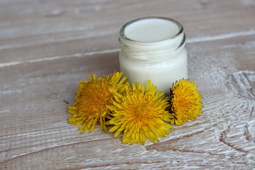 Obraz na płótnie Canvas Organic face cream with dandelion flowers