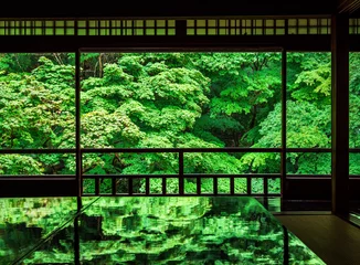Tuinposter 京都　瑠璃光院の青もみじ © oben901