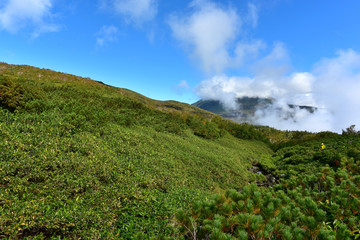 知床　羅臼湖周辺の風景