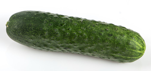 One green cucumber on a white background