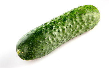 One green cucumber on a white background