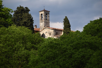 An ancient church hidden by vegetation