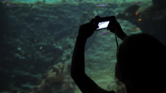 Child girl silhouette takes camera pictures and shoot video of big aquarium fishes behind glass in a zoo