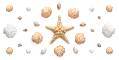 Deurstickers High angle, panoramic view of starfish and seashells isolated on white background © rangizzz