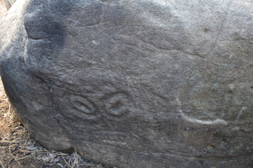 Petroglyphs of Sikachi-Alyan. Russia. Khabarovsk region