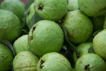 guava is a fruit with high nutritional value.
