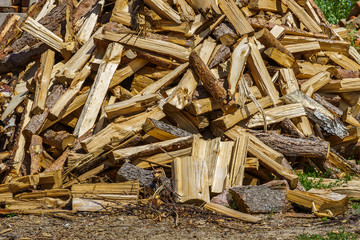 logs of trees of different breeds lie in a bunch