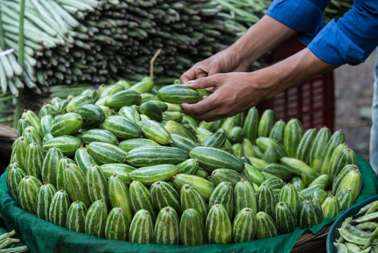 heap of potol parwal pointed gourd in vegetable market for sale