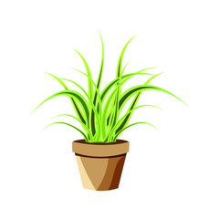 Set of vector realistic detailed house plant for interior design and decoration.Tropical plant for interior decor of home or office.Unique artwork for your design.