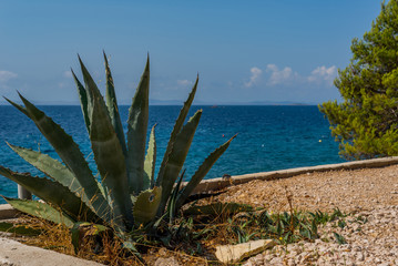 Idilic view on the mediterranean sea, Murter, Dalmatia, Croatia