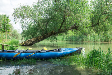blue kayak on the flooded shore on the green river