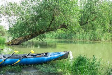 blue kayak on the flooded shore on the green river