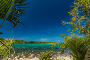 Palm trees on a tropical beach, Vanuatu, Erakor Island, Efate