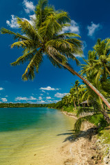 Naklejka na ściany i meble Tropical resort destination in Port Vila, Efate Island, Vanuatu, beach and palm trees