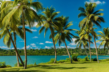 Tropical resort destination in Port Vila, Efate Island, Vanuatu, beach and palm trees